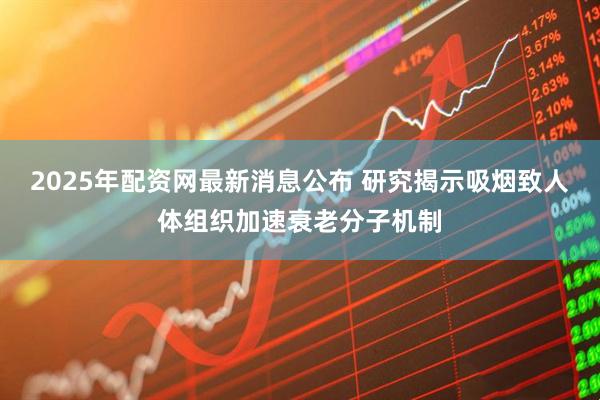 2025年配资网最新消息公布 研究揭示吸烟致人体组织加速衰老分子机制