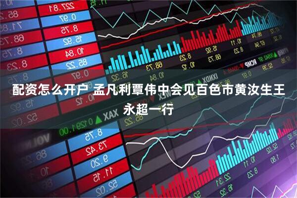 配资怎么开户 孟凡利覃伟中会见百色市黄汝生王永超一行